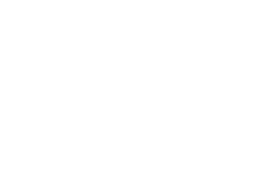 The Lamha